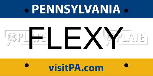 FLEXY Pennsylvania License Plate