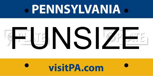 FUNSIZE Pennsylvania License Plate