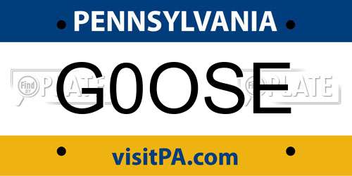 G0OSE Pennsylvania License Plate