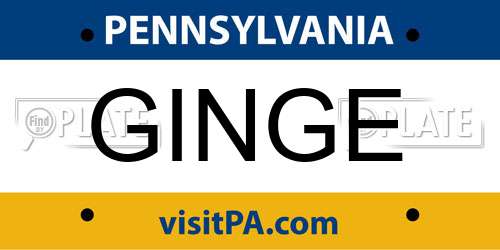 GINGE Pennsylvania License Plate