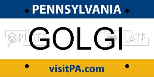 GOLGI Pennsylvania License Plate