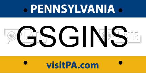 GSGINS Pennsylvania License Plate