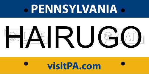 HAIRUGO Pennsylvania License Plate