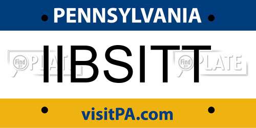 IIBSITT Pennsylvania License Plate