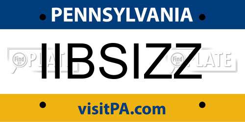 IIBSIZZ Pennsylvania License Plate