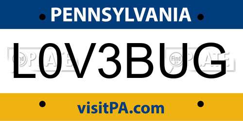 L0V3BUG Pennsylvania License Plate