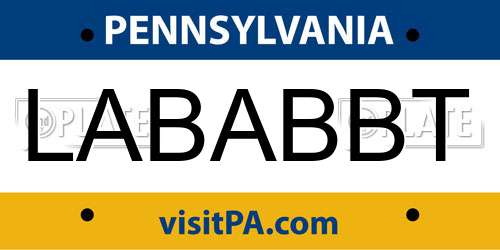 LABABBT Pennsylvania License Plate