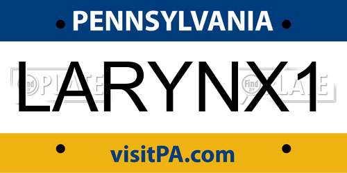 LARYNX1 Pennsylvania License Plate