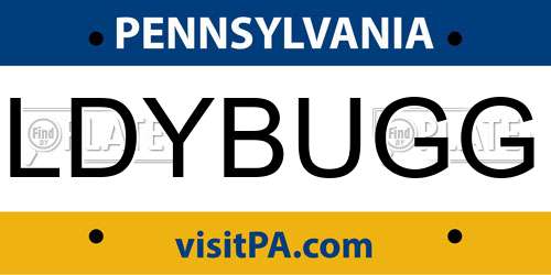 LDYBUGG Pennsylvania License Plate