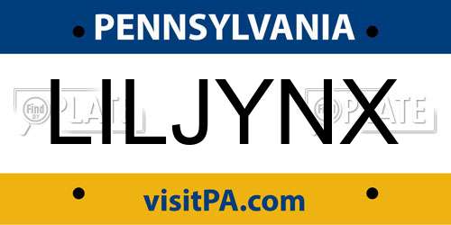 LILJYNX Pennsylvania License Plate