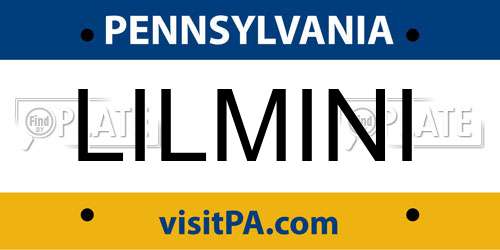 LILMINI Pennsylvania License Plate