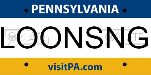 LOONSNG Pennsylvania License Plate