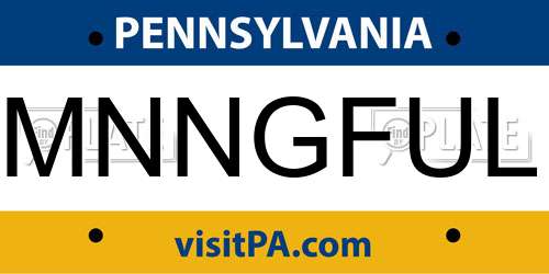 MNNGFUL Pennsylvania License Plate
