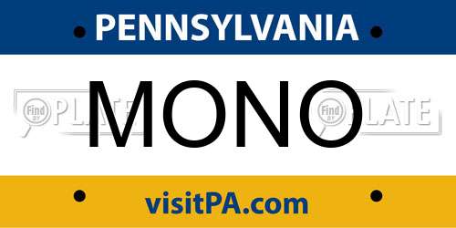 MONO Pennsylvania License Plate