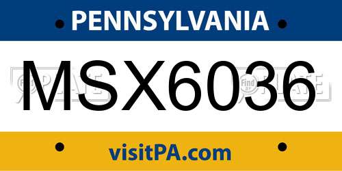 MSX6036 Pennsylvania License Plate