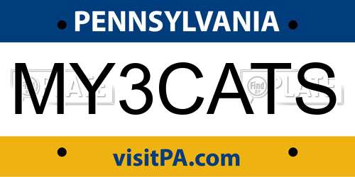 MY3CATS Pennsylvania License Plate