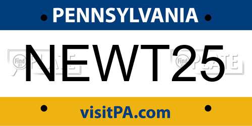 NEWT25 Pennsylvania License Plate