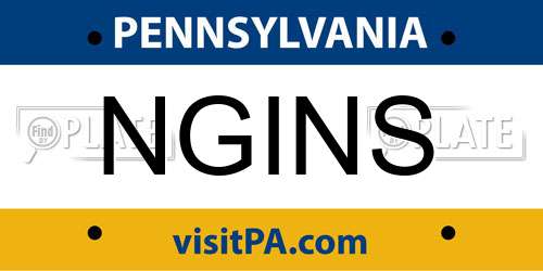 NGINS Pennsylvania License Plate