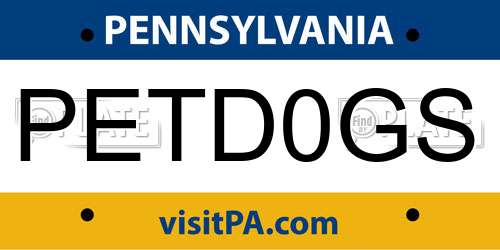 PETD0GS Pennsylvania License Plate