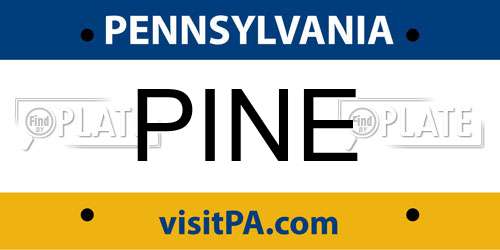 PINE Pennsylvania License Plate