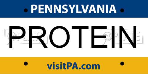 PROTEIN Pennsylvania License Plate