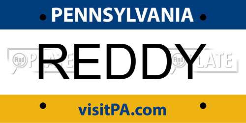 REDDY Pennsylvania License Plate