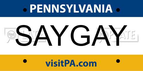 SAYGAY Pennsylvania License Plate