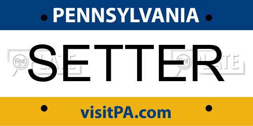 SETTER Pennsylvania License Plate