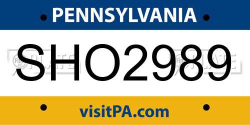 SHO2989 Pennsylvania License Plate