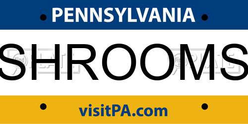 SHROOMS Pennsylvania License Plate