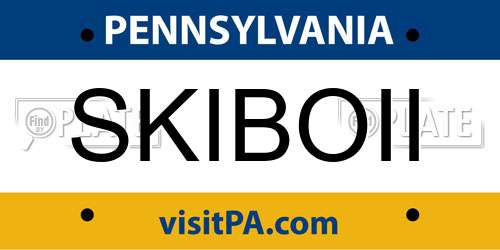 SKIBOII Pennsylvania License Plate