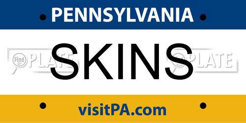SKINS Pennsylvania License Plate