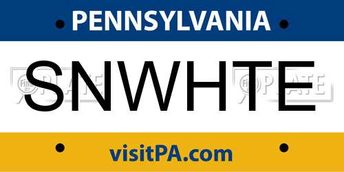 SNWHTE Pennsylvania License Plate