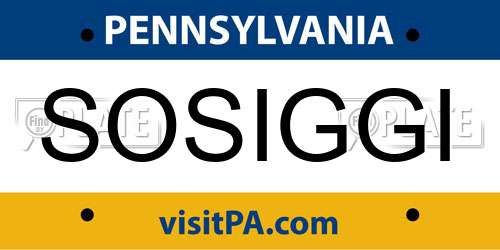 SOSIGGI Pennsylvania License Plate
