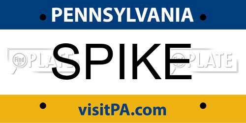 SPIKE Pennsylvania License Plate