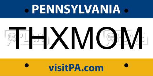 THXMOM Pennsylvania License Plate