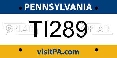 TI289 Pennsylvania License Plate