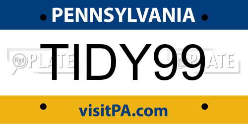 TIDY99 Pennsylvania License Plate