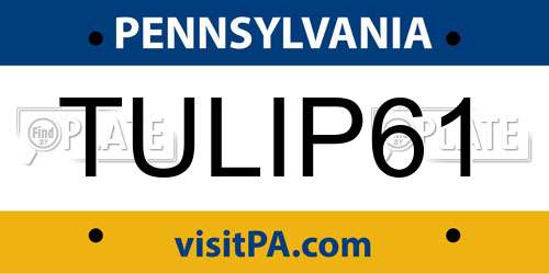 TULIP61 Pennsylvania License Plate