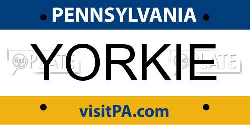 YORKIE Pennsylvania License Plate