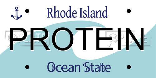 PROTEIN Rhode Island License Plate