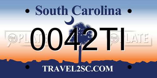 0042TI South Carolina License Plate