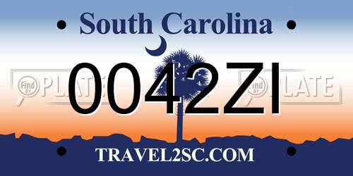 0042ZI South Carolina License Plate