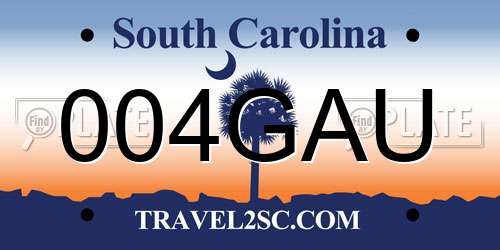 004GAU South Carolina License Plate