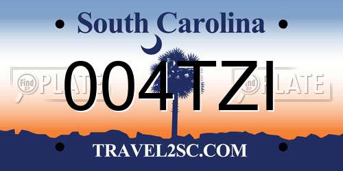 004TZI South Carolina License Plate