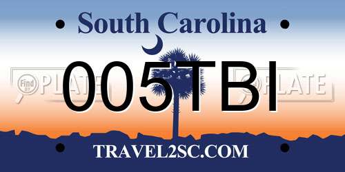 005TBI South Carolina License Plate