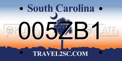 005ZB1 South Carolina License Plate