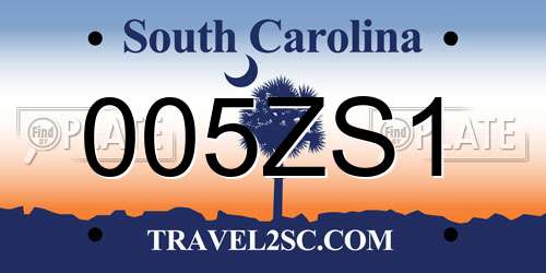 005ZS1 South Carolina License Plate