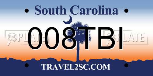 008TBI South Carolina License Plate