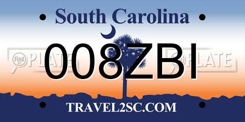 008ZBI South Carolina License Plate